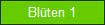 Blten 1