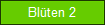 Blten 2